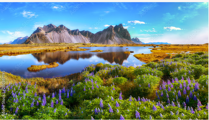 IDENTITY OF THE CHOSEN GENERATION